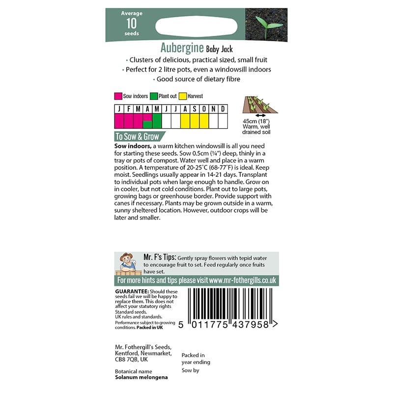 Aubergine Baby Jack Seeds - Image 3