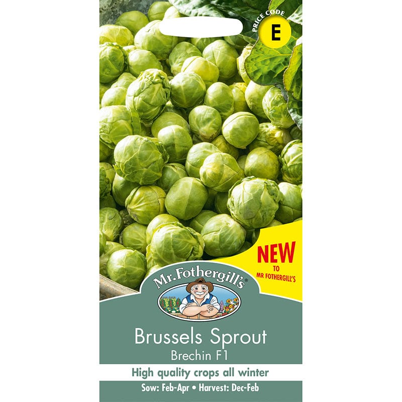 Brussels Sprout Brechin F1 Seeds - Image 3