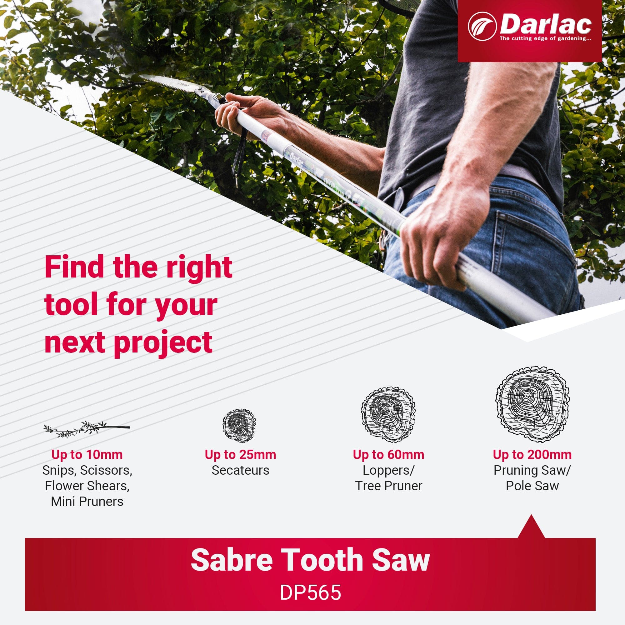 Darlac Swop Top Sabre Tooth Saw Head - Image 6