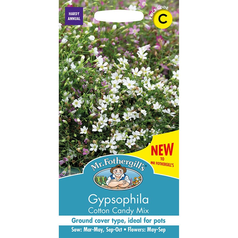 Gypsophila Cotton Candy Mix Seeds - Image 3