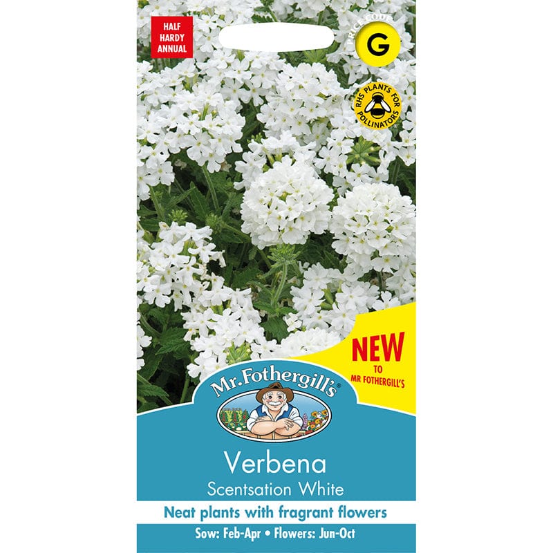 Verbena Scentsation White Seeds - Image 3